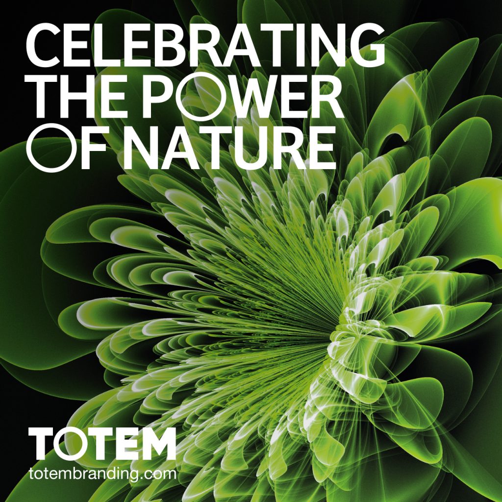 Celebrating the Power of Nature
