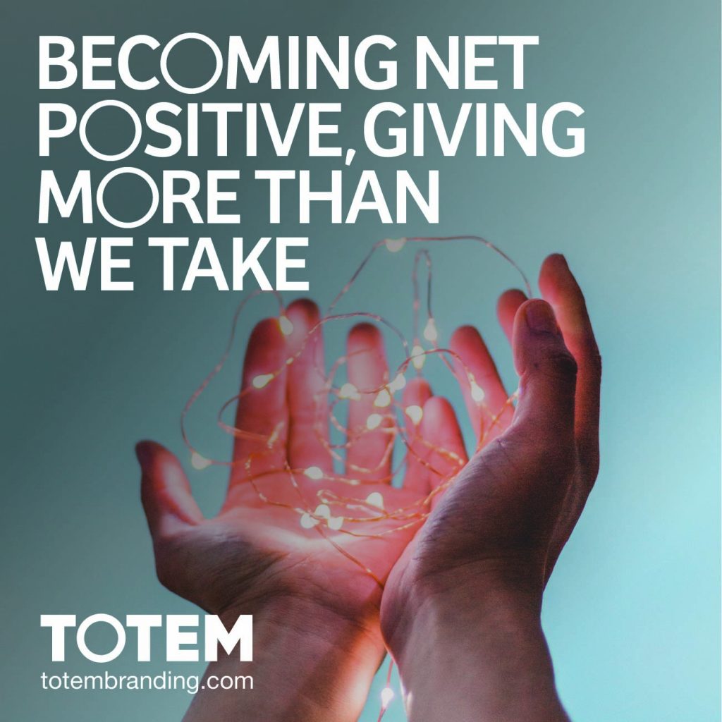 Becoming Net Positive, giving more than we take